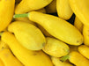 Early Prolific Straightneck, Summer Squash, -- BoxGardenSeedsLLC -Squash,Pumpkins - Seeds