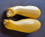 Early Prolific Straightneck, Summer Squash - BoxGardenSeedsLLC - Squash,Pumpkins - Seeds - USA Seller, Thank you for shopping here today, Naturally Grown GMO Free Seeds, Heirloom Open Pollinated Seeds, Fresh Top Quality Premium Seeds