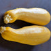 Early Prolific Straightneck, Summer Squash, - BoxGardenSeedsLLC -Squash,Pumpkins - Seeds