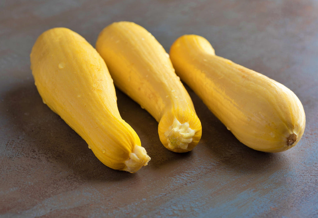 Early Prolific Straightneck, Summer Squash, - BoxGardenSeedsLLC -Squash,Pumpkins - Seeds