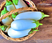 Snowy, Eggplant - BoxGardenSeedsLLC - Peppers,Eggplants - Seeds - USA Seller, Thank you for shopping here today, Naturally Grown GMO Free Seeds, Heirloom Open Pollinated Seeds, Fresh Top Quality Premium Seeds