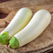 Snowy, Eggplant, - BoxGardenSeedsLLC -Peppers,Eggplants - Seeds