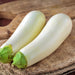 Snowy, Eggplant - BoxGardenSeedsLLC -Peppers,Eggplants - Seeds