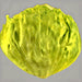 Great Lakes Mesa 659, Crisphead Lettuce, - BoxGardenSeedsLLC -Lettuce - Seeds