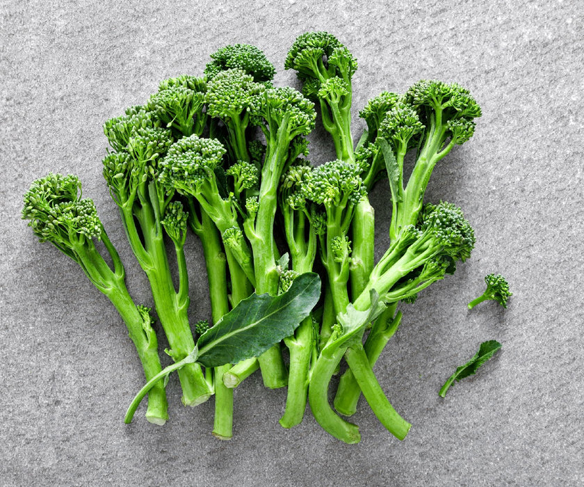 Di Cicco Sprouting, Broccoli, - BoxGardenSeedsLLC -Broccoli,Cauliflower - Seeds