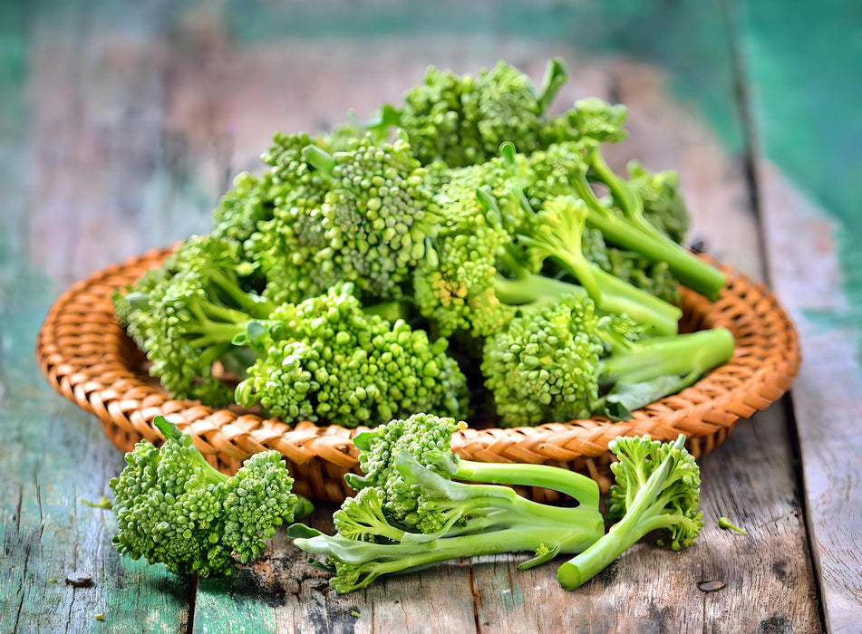 Di Cicco Sprouting, Broccoli, - BoxGardenSeedsLLC -Broccoli,Cauliflower - Seeds