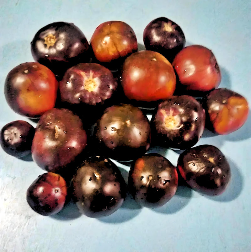Black Beauty, Tomato - BoxGardenSeedsLLC - Tomatoes,Tomatillos - Seeds - 