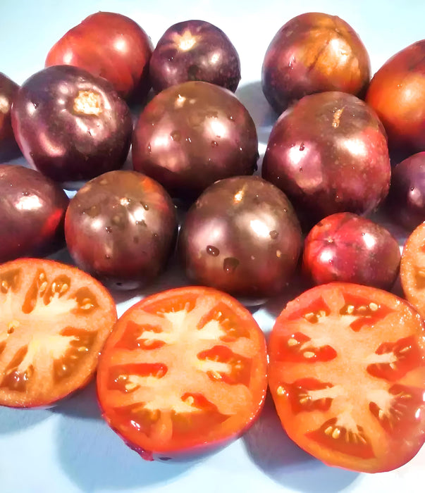 Black Beauty, Tomato, - BoxGardenSeedsLLC -Tomatoes,Tomatillos - Seeds