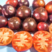 Black Beauty, Tomato, - BoxGardenSeedsLLC -Tomatoes,Tomatillos - Seeds