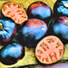 Black Beauty Tomato Seeds - BoxGardenSeedsLLC -Tomatoes,Tomatillos - Seeds