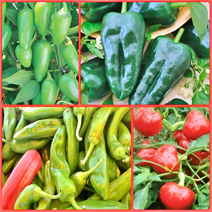 Heirloom Hot Pepper, Seed Collection, -- BoxGardenSeedsLLC -Peppers,Eggplants - Seeds