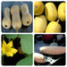 Winter Squash, Seed Kit, -- BoxGardenSeedsLLC -Squash,Pumpkins - Seeds