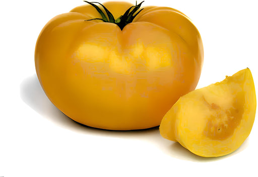 Yellow Beefsteak, Tomato, -- BoxGardenSeedsLLC -Tomatoes,Tomatillos - Seeds