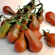 Chocolate Pear, Tomato - BoxGardenSeedsLLC - Tomatoes,Tomatillos - Seeds - 
