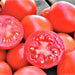 Siberian, Tomato, - BoxGardenSeedsLLC -Tomatoes,Tomatillos - Seeds