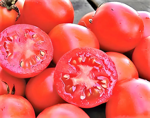 Siberian, Tomato, - BoxGardenSeedsLLC -Tomatoes,Tomatillos - Seeds