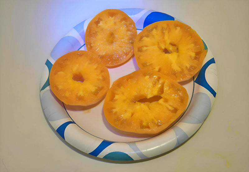 Dr. Wyche's Yellow, Tomato - BoxGardenSeedsLLC - Tomatoes,Tomatillos - Seeds - 