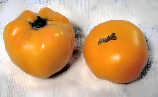 Dr. Wyche's Yellow, Tomato, -- BoxGardenSeedsLLC -Tomatoes,Tomatillos - Seeds