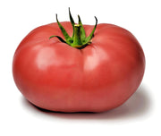 Pink Beefsteak, Tomato - BoxGardenSeedsLLC - Tomatoes,Tomatillos - Seeds - 