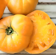 Golden Queen, Tomato - BoxGardenSeedsLLC - Tomatoes,Tomatillos - Seeds - 