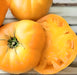 Golden Queen, Tomato, -- BoxGardenSeedsLLC -Tomatoes,Tomatillos - Seeds