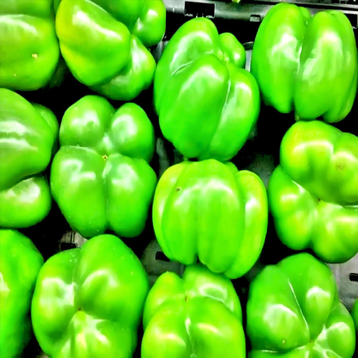 Three Color Bell Pepper Seed Kit, Sweet Pepper, -- BoxGardenSeedsLLC -Peppers,Eggplants - Seeds