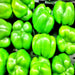 Three Color Bell Pepper Seed Kit, Sweet Pepper, -- BoxGardenSeedsLLC -Peppers,Eggplants - Seeds