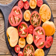 Favorite Slicer, Tomato Seed Collection - BoxGardenSeedsLLC - Tomatoes,Tomatillos - Seeds - 