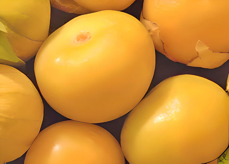 Amarylla Yellow, Tomatillo - BoxGardenSeedsLLC - Tomatoes,Tomatillos - Seeds - USA Seller, Thank you for shopping here today, Naturally Grown GMO Free Seeds, Heirloom Open Pollinated Seeds, Fresh Top Quality Premium Seeds