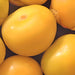 Amarylla Yellow, Tomatillo - BoxGardenSeedsLLC -Tomatoes,Tomatillos - Seeds