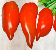 Jersey Devil, Tomato - BoxGardenSeedsLLC - Tomatoes,Tomatillos - Seeds - 