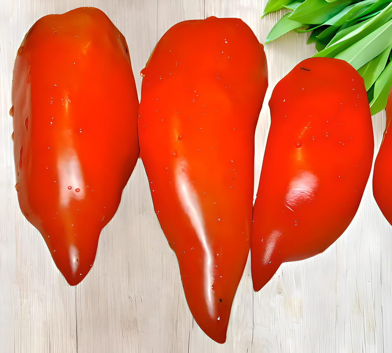 Jersey Devil, Tomato - BoxGardenSeedsLLC - Tomatoes,Tomatillos - Seeds - 