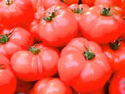 Hamson DX 52, Tomato - BoxGardenSeedsLLC - Tomatoes,Tomatillos - Seeds - 