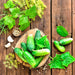 Bushy, Cucumber, - BoxGardenSeedsLLC -Cucumbers - Seeds