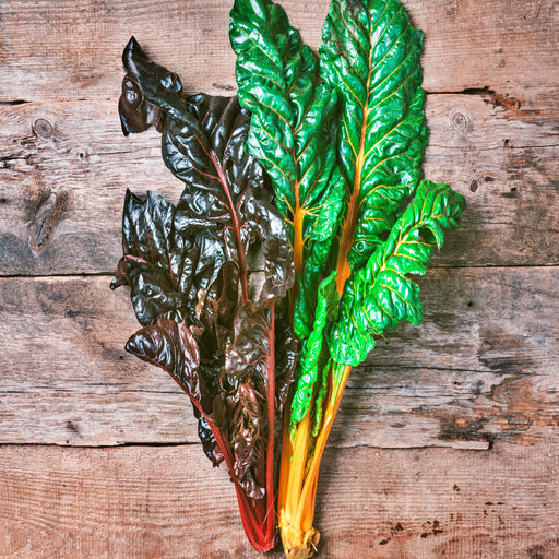 Five Color SilverBeets, Australian Swiss Chard, -- BoxGardenSeedsLLC -Chard, Kohlrabi - Seeds