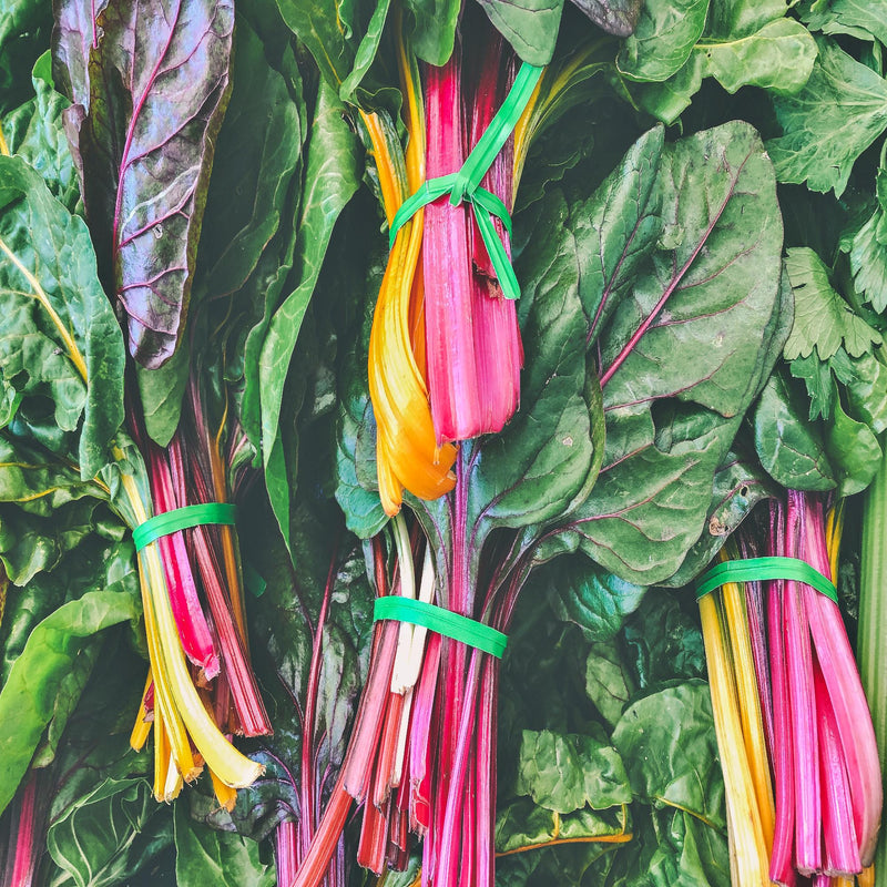Five Color SilverBeets, Australian Swiss Chard - BoxGardenSeedsLLC - Chard, Kohlrabi - Seeds - USA Seller, Thank you for shopping here today, Naturally Grown GMO Free Seeds, Heirloom Open Pollinated Seeds, Fresh Top Quality Premium Seeds