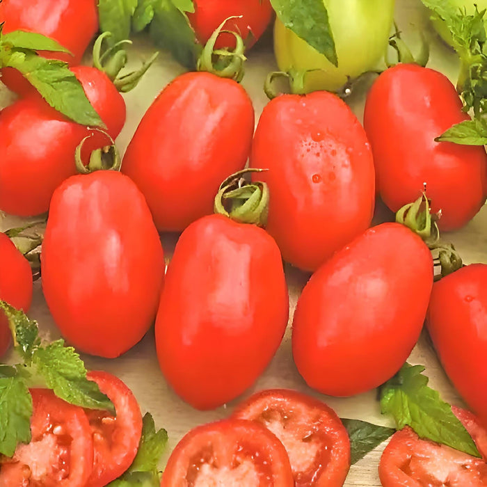 Rio Grande, Tomato, -- BoxGardenSeedsLLC -Tomatoes,Tomatillos - Seeds