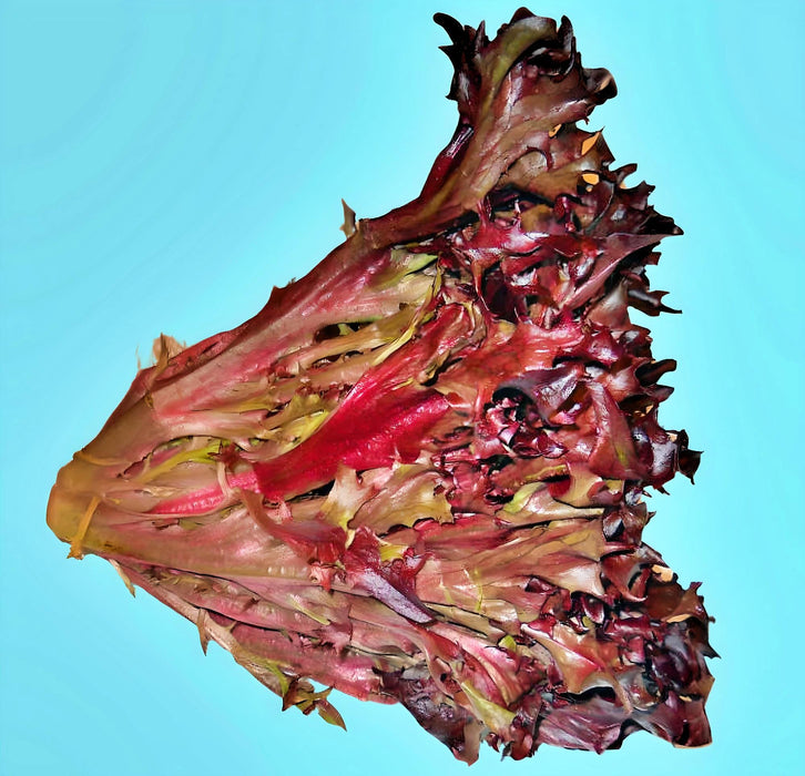 Red Tango, Lettuce, - BoxGardenSeedsLLC -Lettuce - Seeds