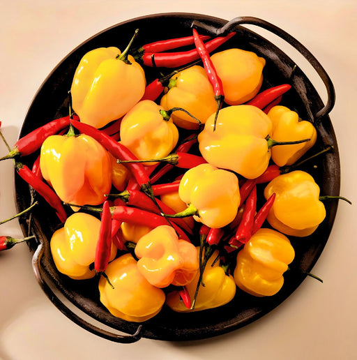 Yellow Caribbean Habanero, Hot Pepper, -- BoxGardenSeedsLLC -Peppers,Eggplants - Seeds