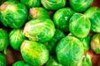 Long Island Improved, Brussel Sprouts, -- BoxGardenSeedsLLC -Broccoli,Cauliflower - Seeds