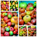 Super Surprise Mix, Tomato, -- BoxGardenSeedsLLC -Tomatoes,Tomatillos - Seeds