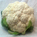 Snowball Y Improved, Cauliflower, - BoxGardenSeedsLLC -Broccoli,Cauliflower - Seeds