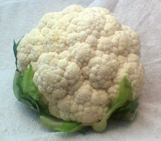 Snowball Y Improved, Cauliflower, - BoxGardenSeedsLLC -Broccoli,Cauliflower - Seeds