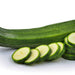 Fordhook Zucchini, Summer Squash, - BoxGardenSeedsLLC -Squash,Pumpkins - Seeds