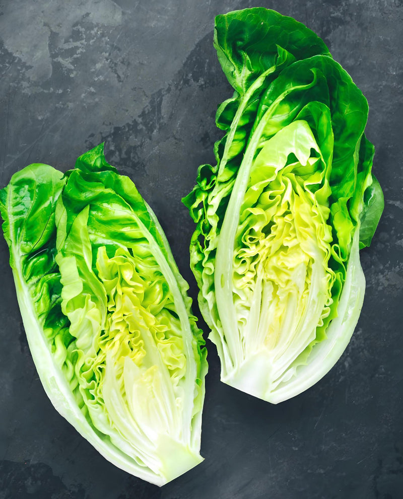 Little Caesar, Romaine Lettuce - BoxGardenSeedsLLC - Lettuce - Seeds - USA Seller, Thank you for shopping here today, Naturally Grown GMO Free Seeds, Heirloom Open Pollinated Seeds, Fresh Top Quality Premium Seeds