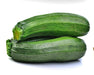 Summer Squash, Seed Kit, -- BoxGardenSeedsLLC -Squash,Pumpkins - Seeds