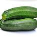 Summer Squash, Seed Kit, - BoxGardenSeedsLLC -Squash,Pumpkins - Seeds