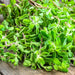 Sweet Marjoram, Herb, - BoxGardenSeedsLLC -Abundant Stock SALE - Seeds