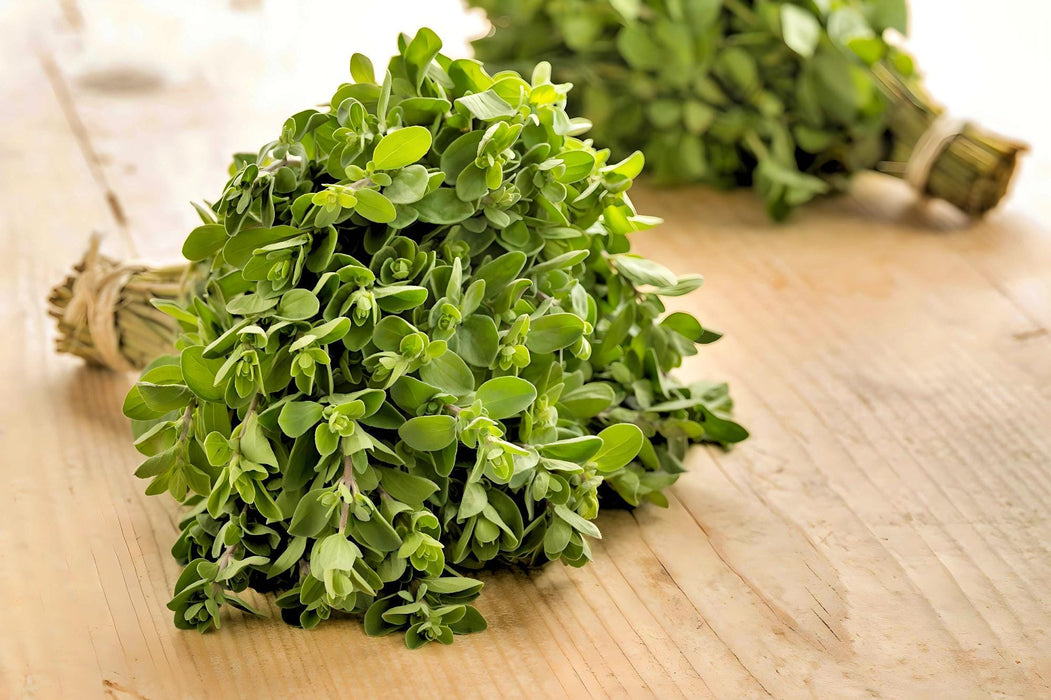 Sweet Marjoram, Herb - BoxGardenSeedsLLC - Culinary/Medicinal Herbs - Seeds - USA Seller, Thank you for shopping here today, Naturally Grown GMO Free Seeds, Heirloom Open Pollinated Seeds, Fresh Top Quality Premium Seeds