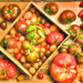 Super Surprise Mix, Tomato, - BoxGardenSeedsLLC -Tomatoes,Tomatillos - Seeds